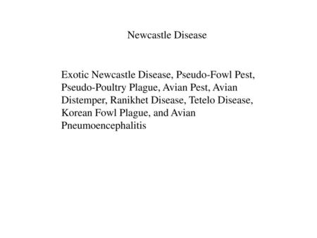 Newcastle Disease Exotic Newcastle Disease, Pseudo-Fowl Pest, Pseudo-Poultry Plague, Avian Pest, Avian Distemper, Ranikhet Disease, Tetelo Disease, Korean.
