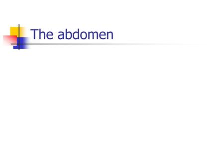 The abdomen.
