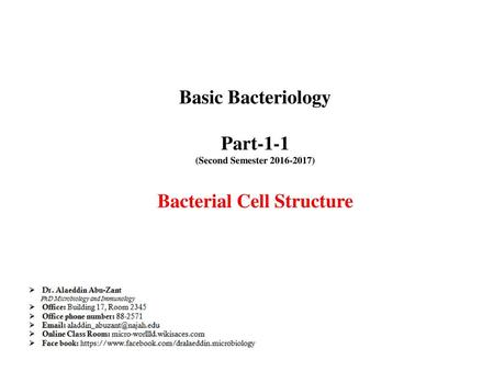 Bacterial Cell Structure