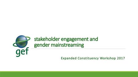 stakeholder engagement and gender mainstreaming