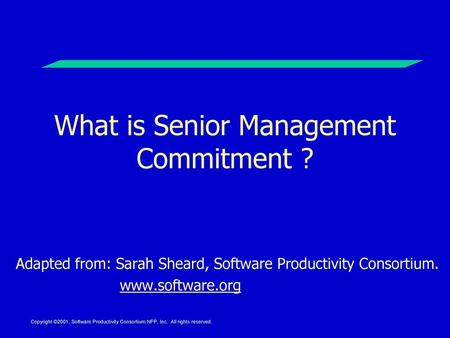 What is Senior Management Commitment ?