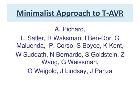 Minimalist Approach to T-AVR