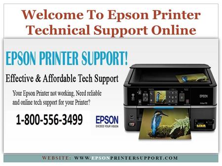 Epson Printer Support 1-800-556-3499 Technical Support Phone Number 