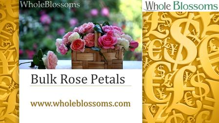 Bulk Rose Petals  Bulk Rose Petals -