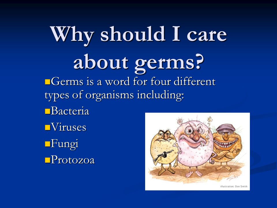 Why should I care about germs? Germs is a word for four different types of  organisms including: Germs is a word for four different types of organisms  including: - ppt download