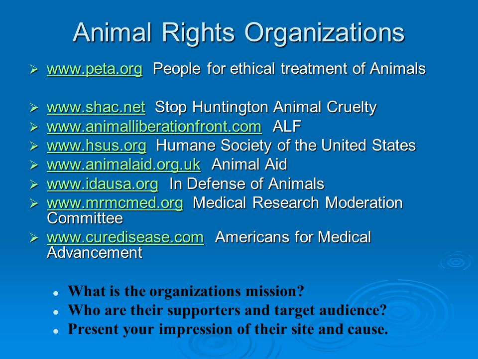 Animal Rights Organizations  People for ethical treatment of Animals   Stop Huntington Animal Cruelty - ppt download
