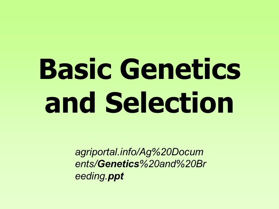 Basic Genetics and Selection - ppt video online download