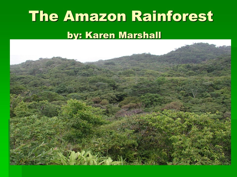 The Amazon Rainforest by: Karen Marshall The Amazon Rainforest by: Karen  Marshall. - ppt download