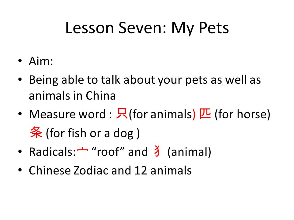 Lesson Seven: My Pets Aim: Being able to talk about your pets as well as  animals in China Measure word : 只 (for animals) 匹 (for horse) 条 (for fish  or a. -