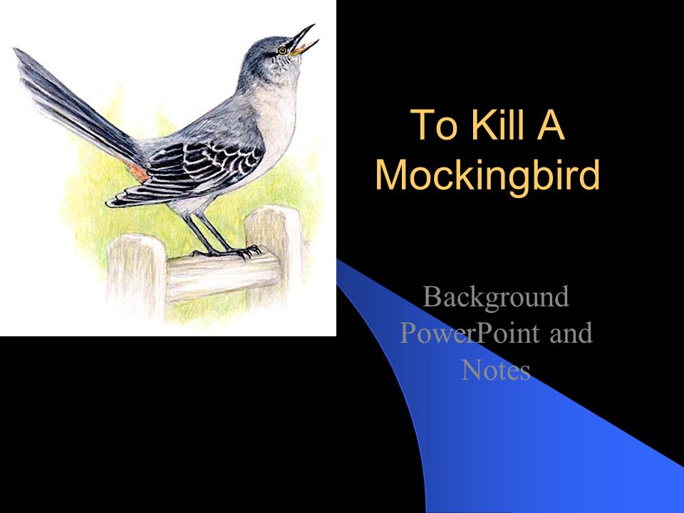 mockingbird background