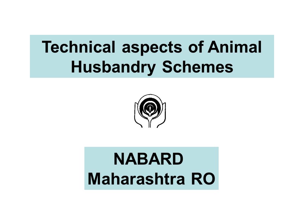 Technical aspects of Animal Husbandry Schemes NABARD Maharashtra RO. - ppt  download