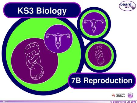 KS3 Biology 7B Reproduction.