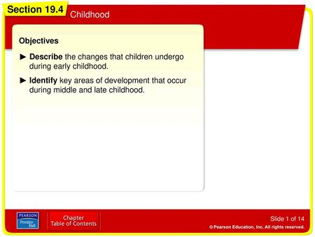 Section 19.4 Childhood Objectives