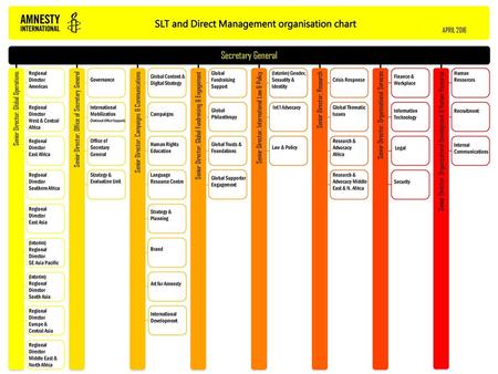 SLT and Direct Management organisation chart
