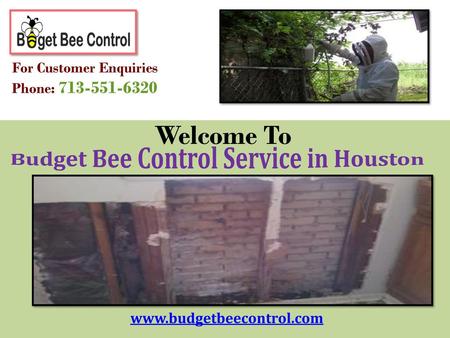Budget Bee Control Service in Houston