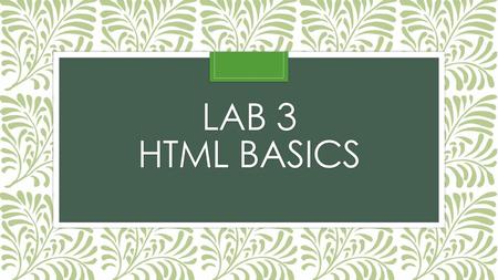 Lab 3 Html basics.