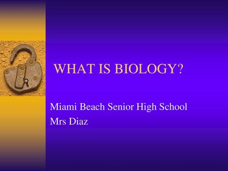 Miami Beach Senior High School Mrs Diaz