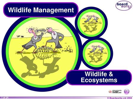 Wildlife Management Wildlife & Ecosystems.