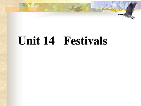 Liu Yun Unit 14 Festivals.