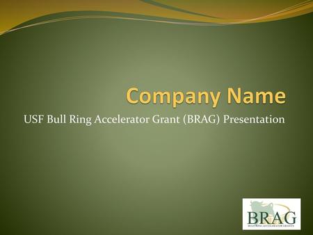 USF Bull Ring Accelerator Grant (BRAG) Presentation