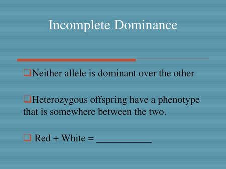 Incomplete Dominance Neither allele is dominant over the other