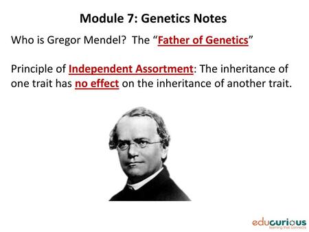 Module 7: Genetics Notes