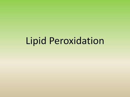 Lipid Peroxidation.