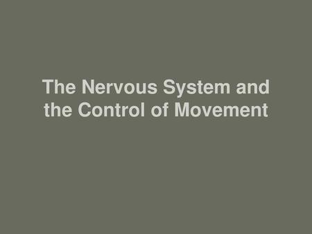 The Nervous System and the Control of Movement