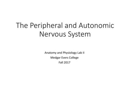 The Peripheral and Autonomic Nervous System