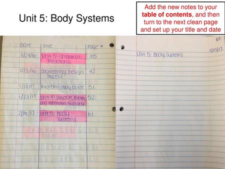 Unit 5: Body Systems Add the new notes to your table of contents, and then turn to the next clean page and set up your title and date.