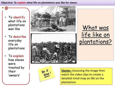 What was life like on plantations?