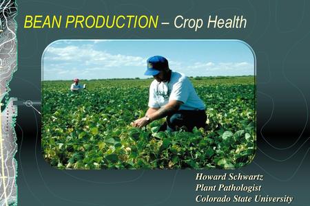 BEAN PRODUCTION – Crop Health