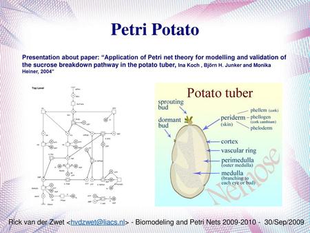 Petri Potato Presentation about paper: “Application of Petri net theory for modelling and validation of the sucrose breakdown pathway in the potato tuber,