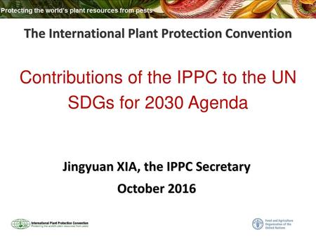 The International Plant Protection Convention