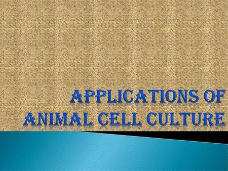 APPLICATIONS OF ANIMAL CELL CULTURE