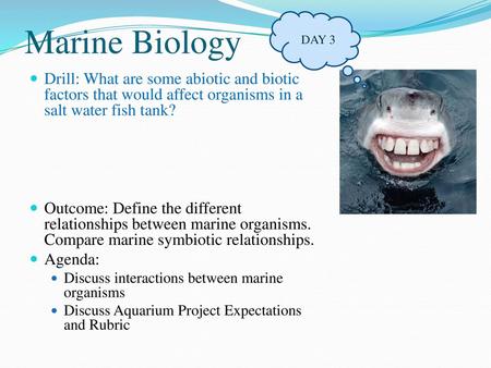 Marine Biology DAY 3 Drill: What are some abiotic and biotic factors that would affect organisms in a salt water fish tank? Outcome: Define the different.