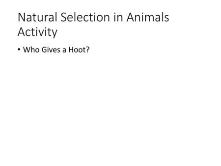 Natural Selection in Animals Activity