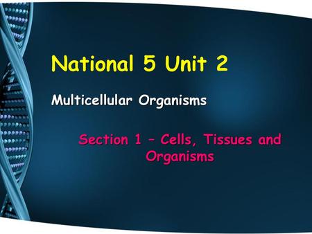 Section 1 – Cells, Tissues and Organisms