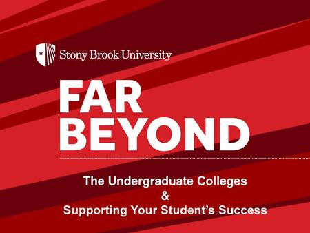 The Undergraduate Colleges & Supporting Your Student’s Success