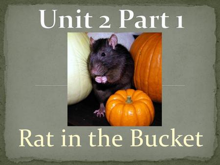 Unit 2 Part 1 Rat in the Bucket.
