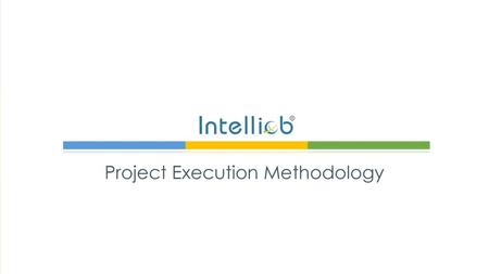 Project Execution Methodology