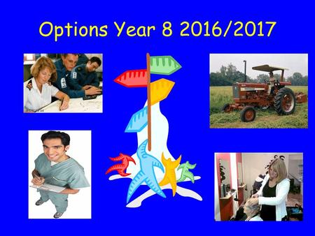 Options Year 8 2016/2017.