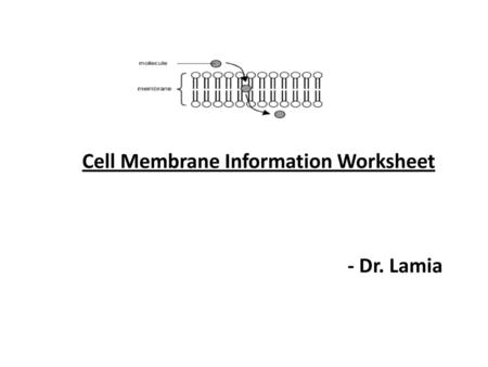 Cell Membrane Information Worksheet