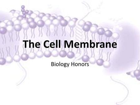 The Cell Membrane Biology Honors.