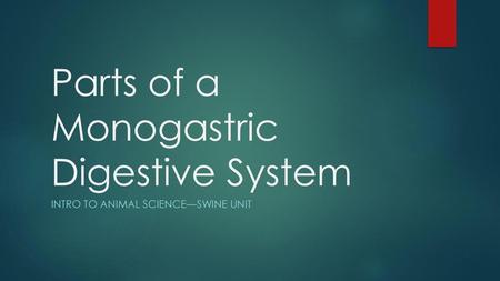 Parts of a Monogastric Digestive System