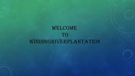 Welcome to WINDINGRIVERPLANTATION