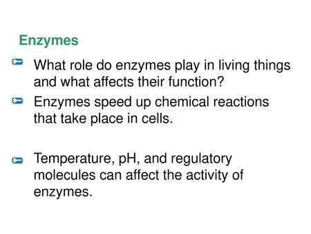 Enzymes speed up chemical reactions that take place in cells.