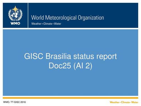 GISC Brasilia status report Doc25 (AI 2)