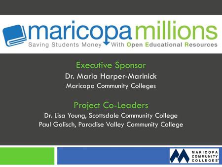 Executive Sponsor Project Co-Leaders
