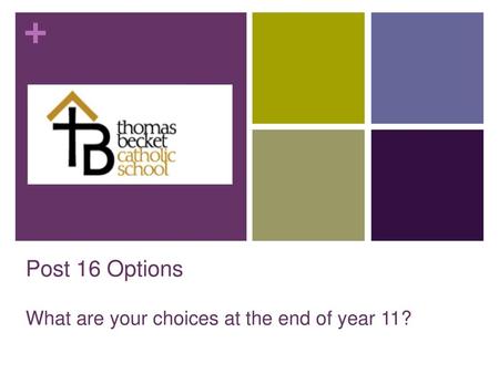 What are your choices at the end of year 11?